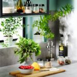 جا ادویه ایکیا مدل IHARDIG بسته 4 عددی