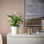 وارمر فانوسی ایکیا مدل Parlband