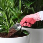 اسکوپ ایکیا مدل 365+