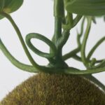 گل بوته ای خزه ایکیا مدل Fejka