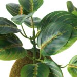 گل بوته ای خزه ایکیا مدل Fejka