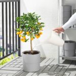 پارچ آبیاری ایکیا مدل PS