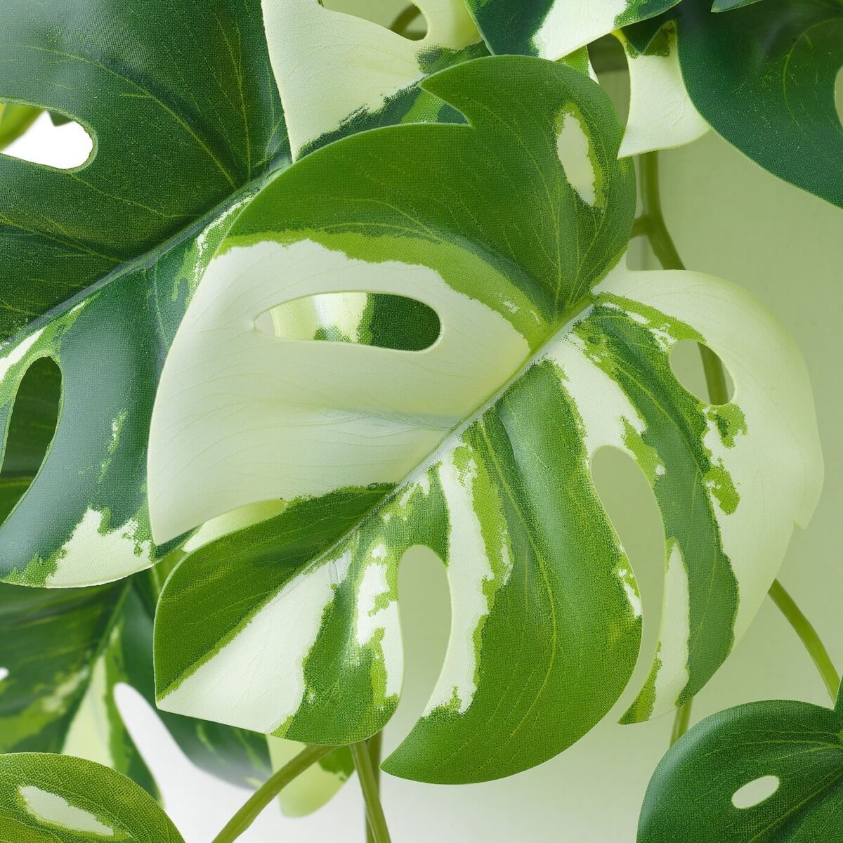 گیاه مصنوعی با نگهدارنده دیواری ایکیا مدل FEJKA