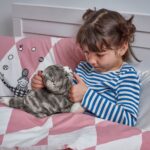 عروسک گربه ایکیا مدل LILLEPLUTT