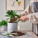 ابزار باغبانی ایکیا مدل Grasmaro