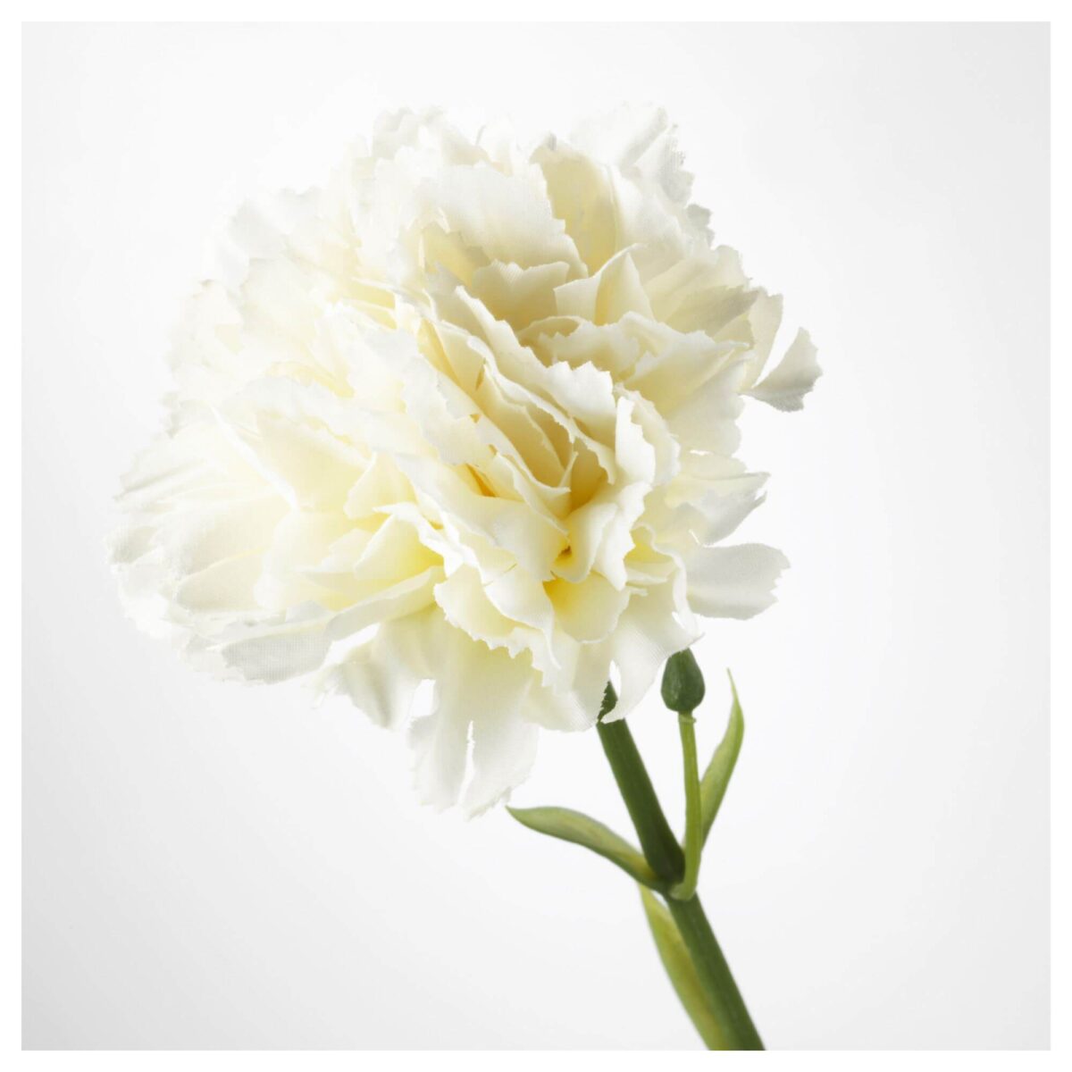 گل سفید میخک ایکیا مدل Smycka
