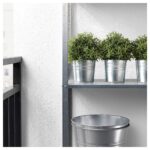 گلدان گل رزماری ایکیا مدل Fejka