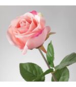 گل رز صورتی ایکیا مدل Smycka