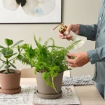 آبپاش سر طلایی ایکیا مدل VATTENKRASSE