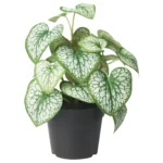 گل ایکیا مدل FEJKA