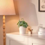 گل ایکیا مدل FEJKA