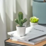 گلدان کاکتوس ایکیا مدل FEJKA