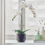 گلدان کريستال بزرگ ایکیا مدل GRADVIS