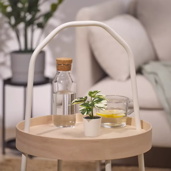 گلدان کوچک برگ انجیری FEJKA